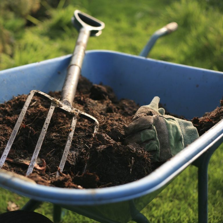 Gartenpflege, Gartenarbeit